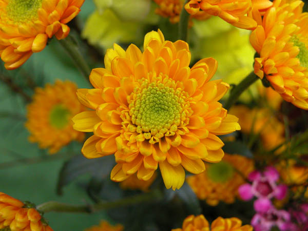 DSCN1291