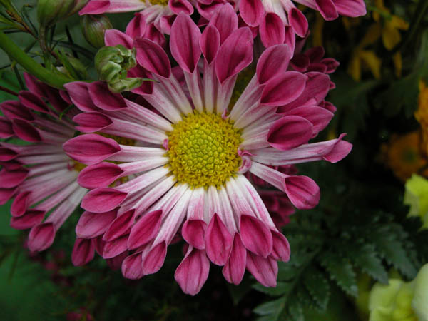 DSCN1292